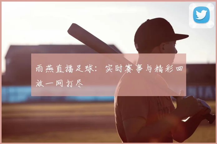 雨燕直播足球：实时赛事与精彩回放一网打尽