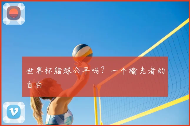 世界杯赌球公平吗?一个输光者的自白