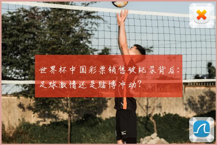 世界杯中国彩票销售破纪录背后:足球激情还是赌博冲动?
