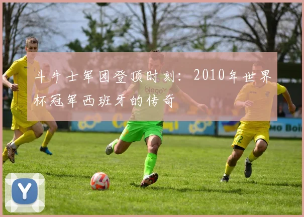 斗牛士军团登顶时刻：2010年世界杯冠军西班牙的传奇