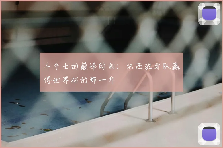 斗牛士的巅峰时刻：记西班牙队赢得世界杯的那一年