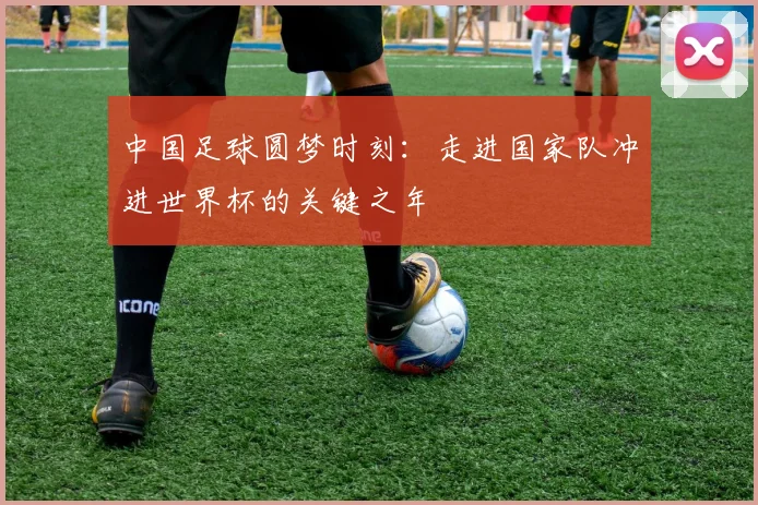 中国足球圆梦时刻：走进国家队冲进世界杯的关键之年