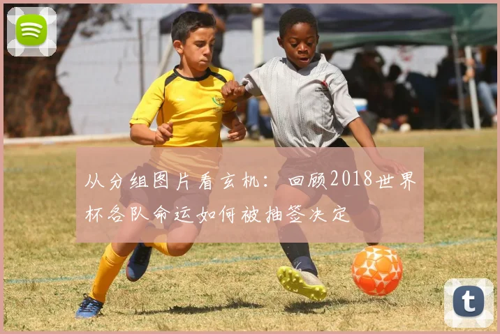 从分组图片看玄机：回顾2018世界杯各队命运如何被抽签决定