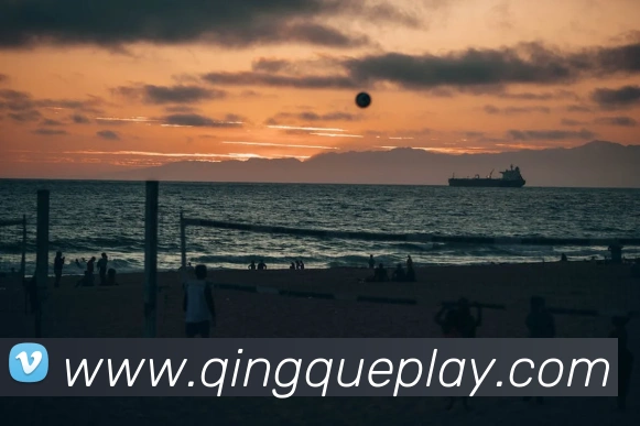 App Interface Preview