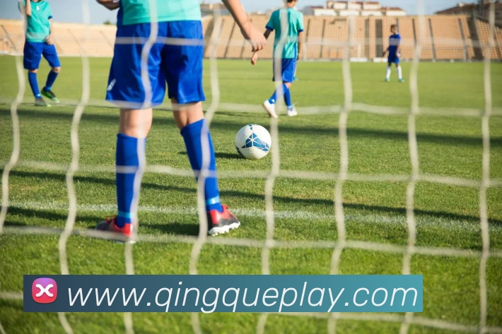 九游9官方入口APP 封面图